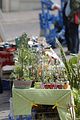 altenburg-trachtenfest-02-06-2012 (92)